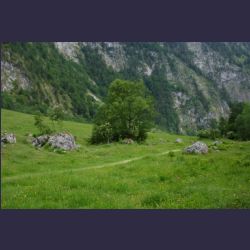 2007-05_11Obersee (010).JPG